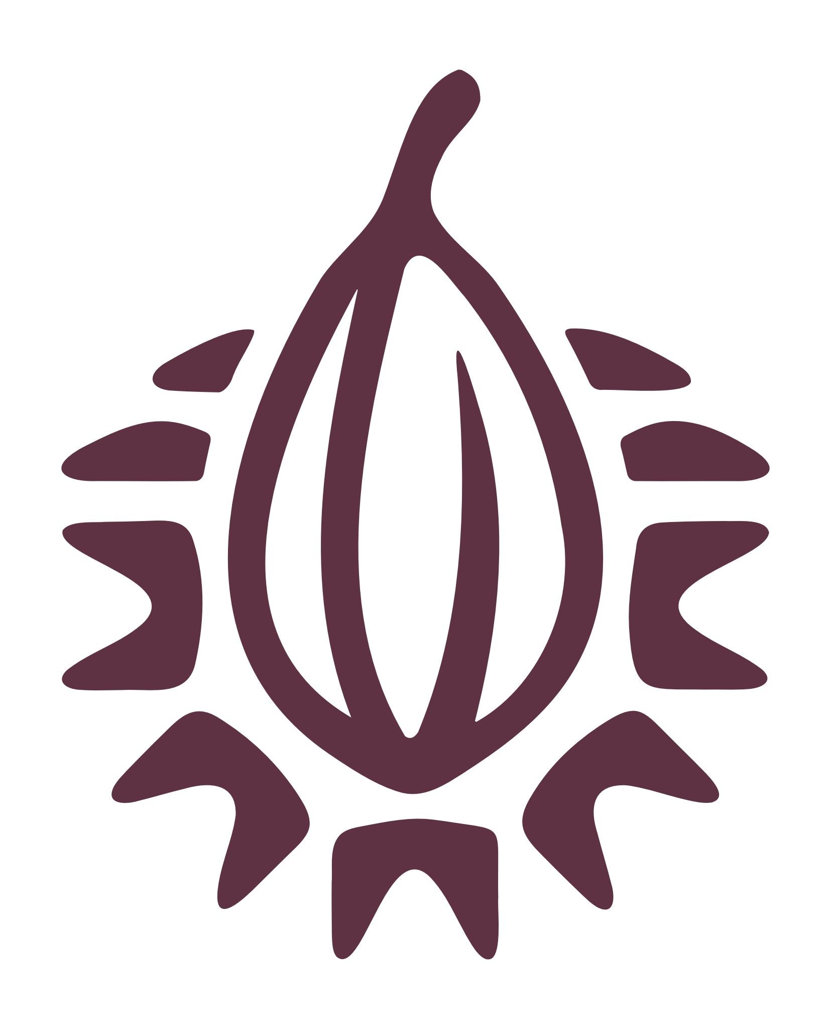 Ceremonial single origin adaptogenic cacao
– Cloud Forest